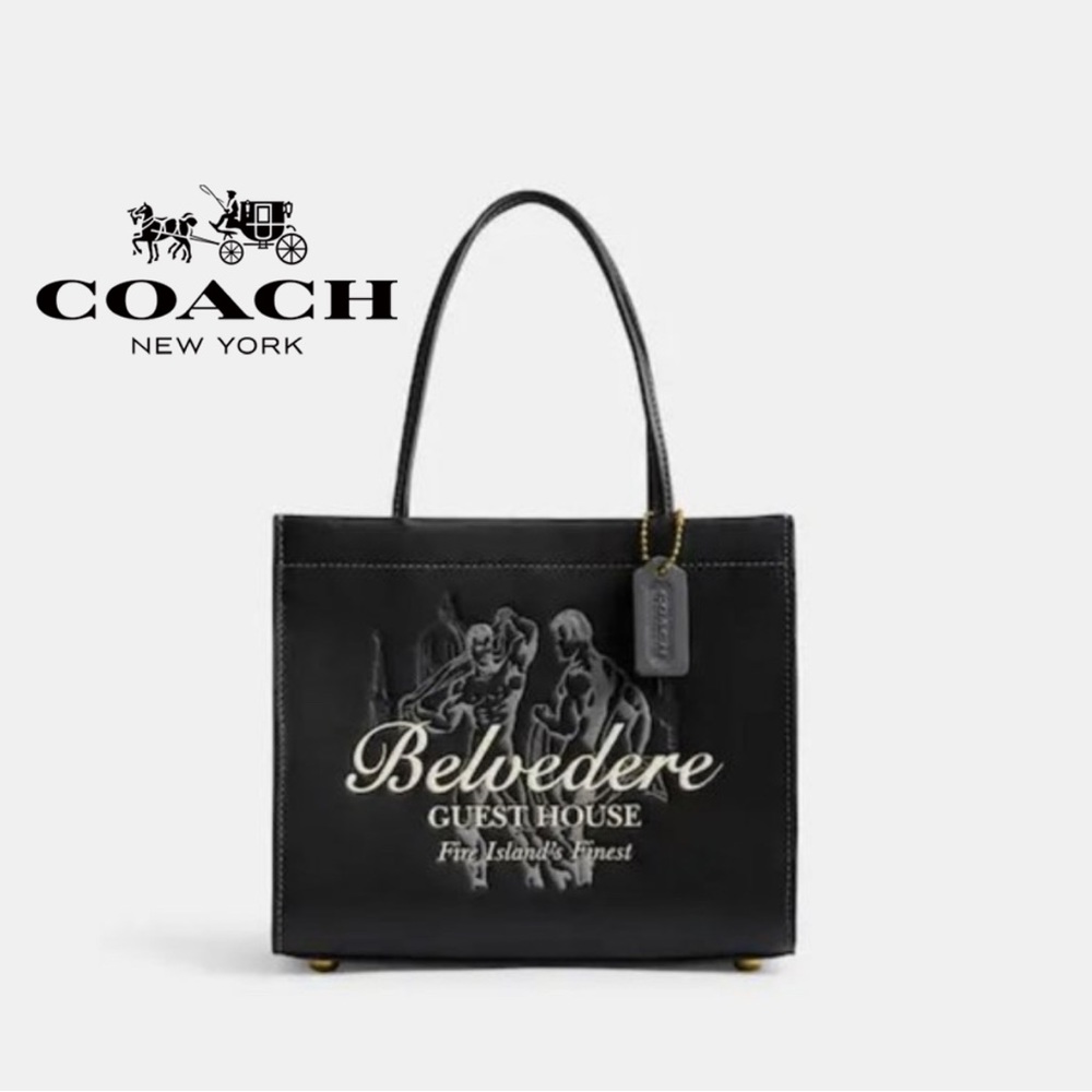 NWT Coach Belvedere Cashin Carry 22 Fire Island Graphic Leather Purse Handbag